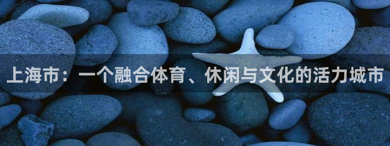 上海市：一个融合体育、休闲与文化的活力城市