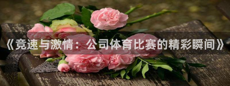 《竞速与激情：公司体育比赛的精彩瞬间》