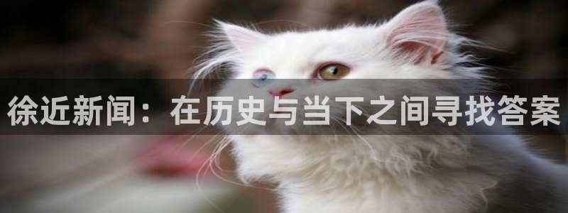 徐近新闻：在历史与当下之间寻找答案