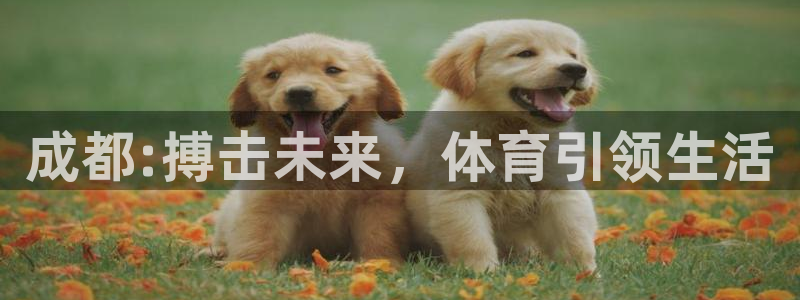 成都:搏击未来，体育引领生活