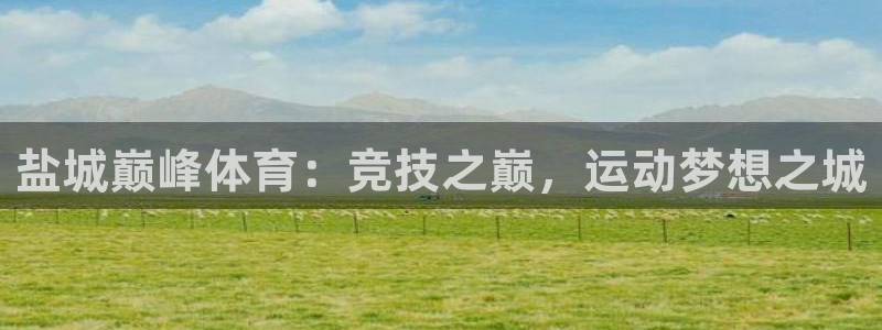 盐城巅峰体育：竞技之巅，运动梦想之城