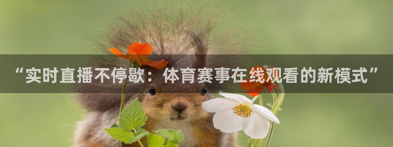“实时直播不停歇：体育赛事在线观看的新模式”