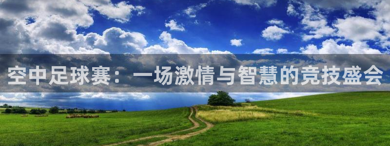 空中足球赛：一场激情与智慧的竞技盛会