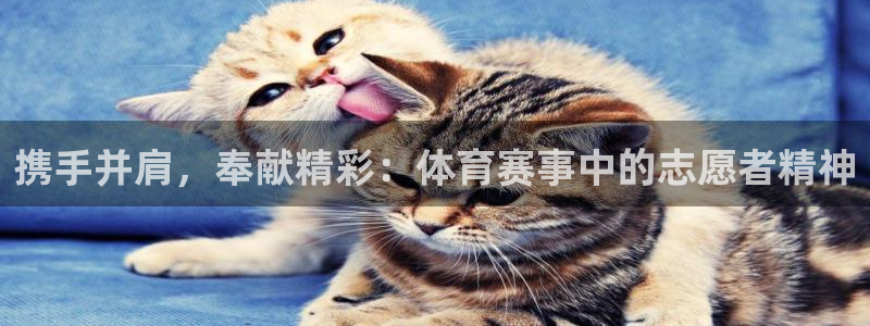 携手并肩，奉献精彩：体育赛事中的志愿者精神