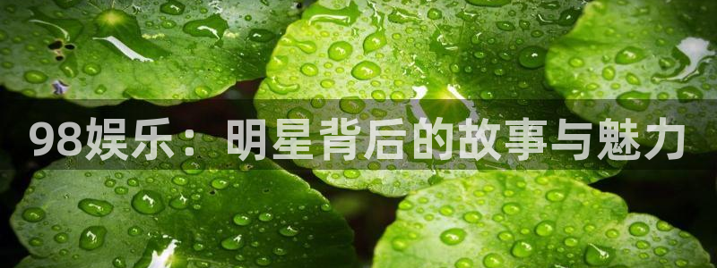 98娱乐：明星背后的故事与魅力