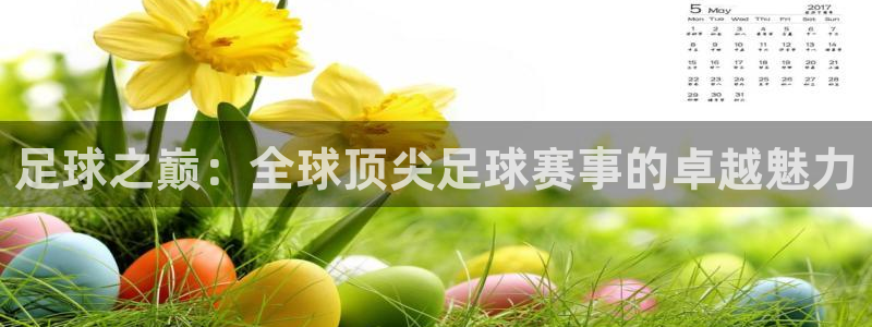 足球之巅：全球顶尖足球赛事的卓越魅力