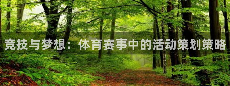 竞技与梦想：体育赛事中的活动策划策略
