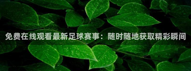 免费在线观看最新足球赛事：随时随地获取精彩瞬间