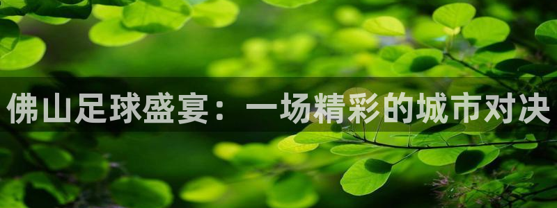 佛山足球盛宴：一场精彩的城市对决