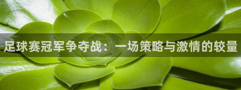 足球赛冠军争夺战：一场策略与激情的较量