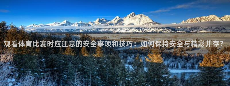观看体育比赛时应注意的安全事项和技巧：如何保持安全与精彩并存？