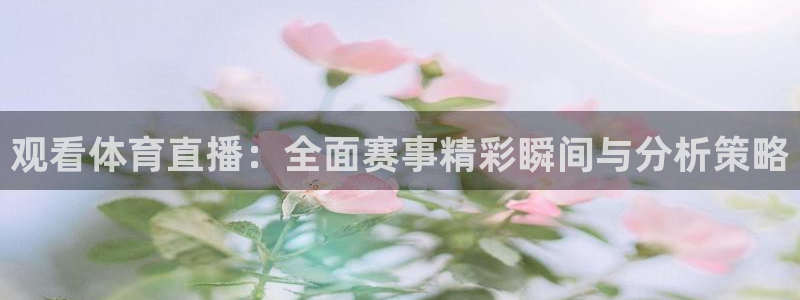 观看体育直播：全面赛事精彩瞬间与分析策略