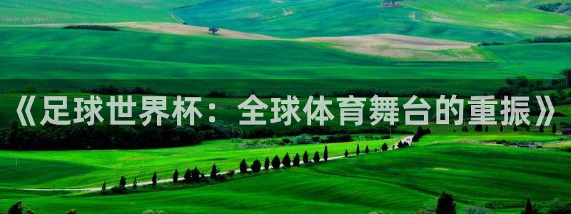 《足球世界杯：全球体育舞台的重振》