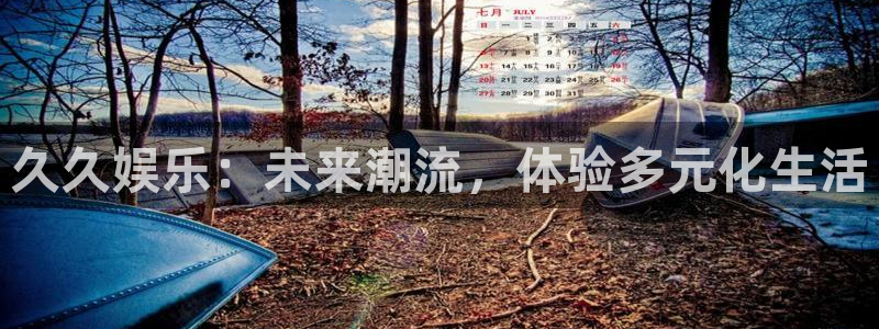 久久娱乐：未来潮流，体验多元化生活