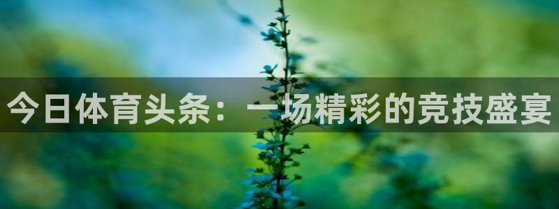 今日体育头条：一场精彩的竞技盛宴