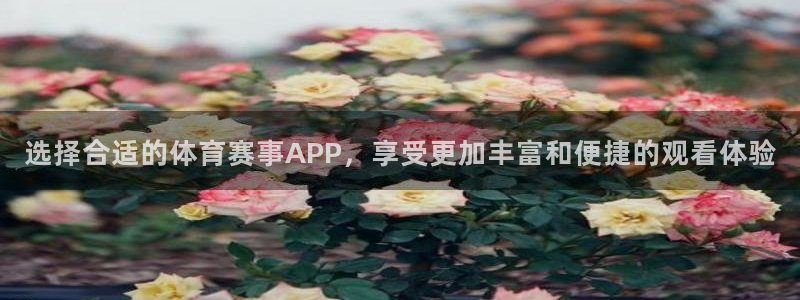 选择合适的体育赛事APP，享受更加丰富和便捷的观看体验