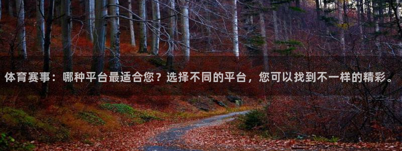体育赛事：哪种平台最适合您？选择不同的平台，您可以找到不一样的精彩。