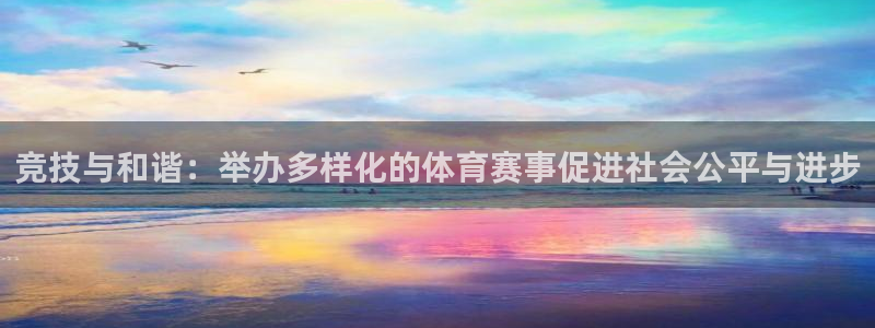 竞技与和谐：举办多样化的体育赛事促进社会公平与进步