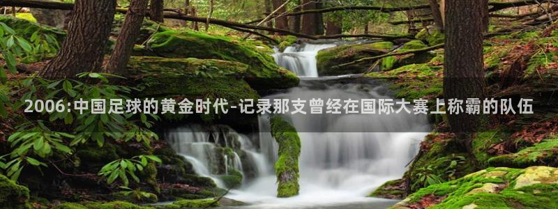 2006:中国足球的黄金时代-记录那支曾经在国际大赛上称霸的队伍