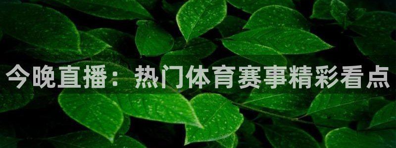 今晚直播：热门体育赛事精彩看点