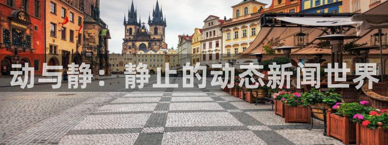 动与静：静止的动态新闻世界