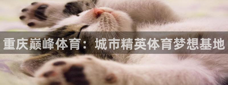 重庆巅峰体育:城市精英体育梦想基地