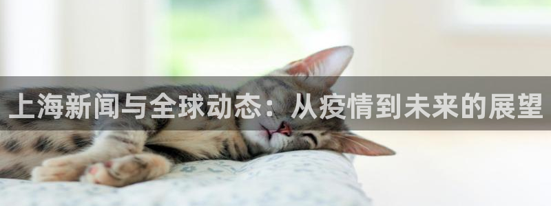 上海新闻与全球动态:从疫情到未来的展望
