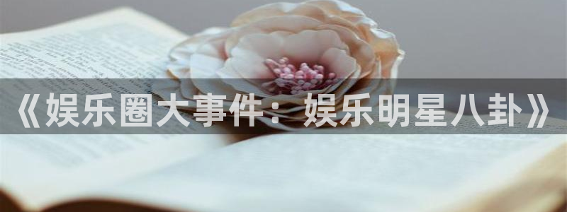 《娱乐圈大事件：娱乐明星八卦》