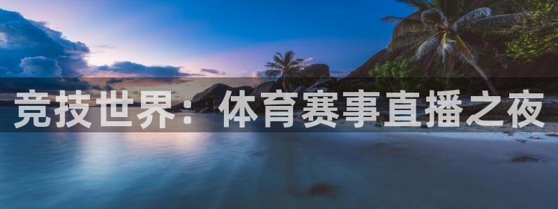 竞技世界：体育赛事直播之夜