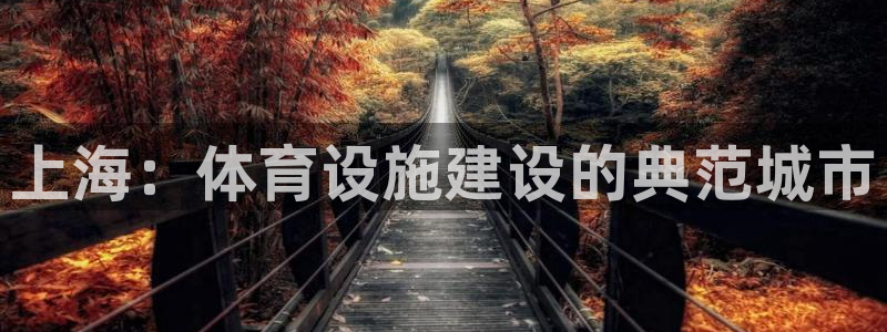 上海：体育设施建设的典范城市