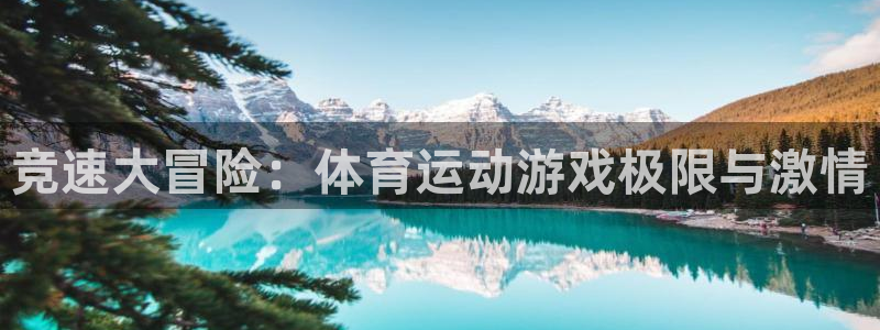 竞速大冒险：体育运动游戏极限与激情