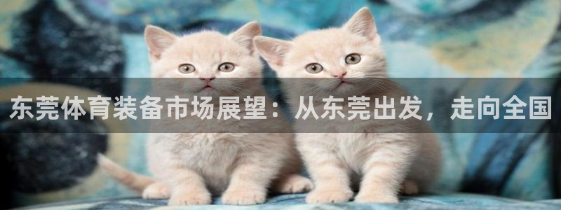 东莞体育装备市场展望：从东莞出发，走向全国