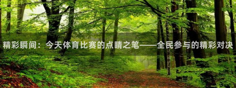 精彩瞬间：今天体育比赛的点睛之笔——全民参与的精彩对决