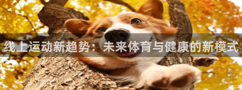 线上运动新趋势：未来体育与健康的新模式