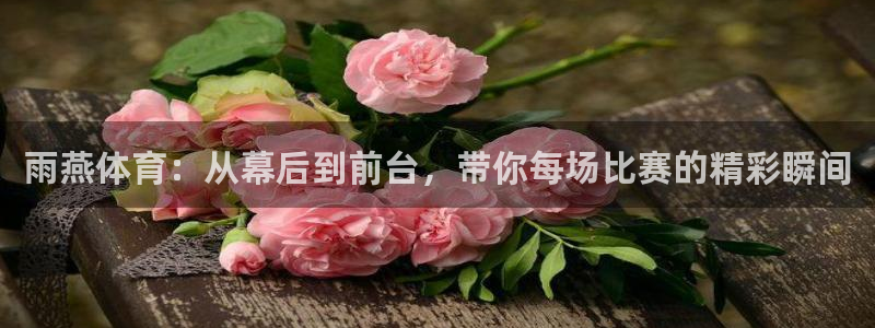 雨燕体育：从幕后到前台，带你每场比赛的精彩瞬间