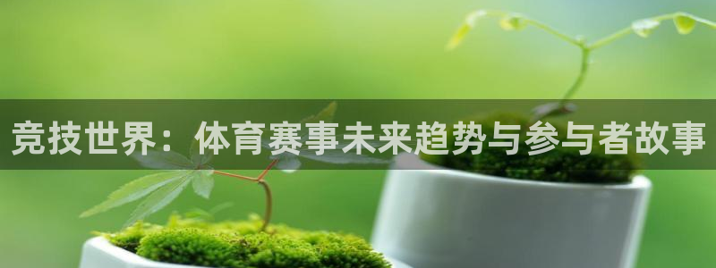 竞技世界：体育赛事未来趋势与参与者故事
