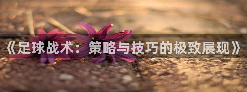 《足球战术：策略与技巧的极致展现》