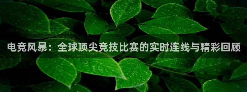 电竞风暴：全球顶尖竞技比赛的实时连线与精彩回顾