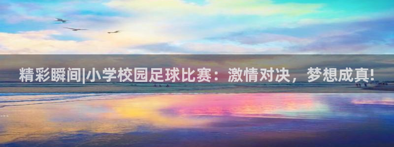 精彩瞬间|小学校园足球比赛：激情对决，梦想成真!