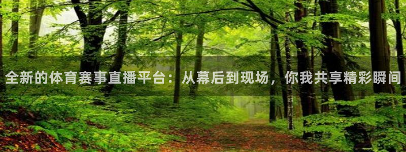 全新的体育赛事直播平台：从幕后到现场，你我共享精彩瞬间