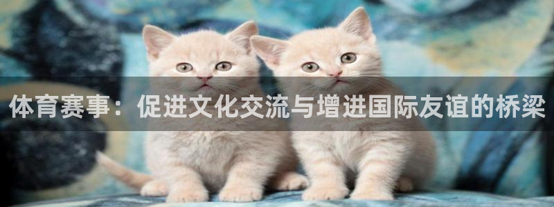 体育赛事：促进文化交流与增进国际友谊的桥梁