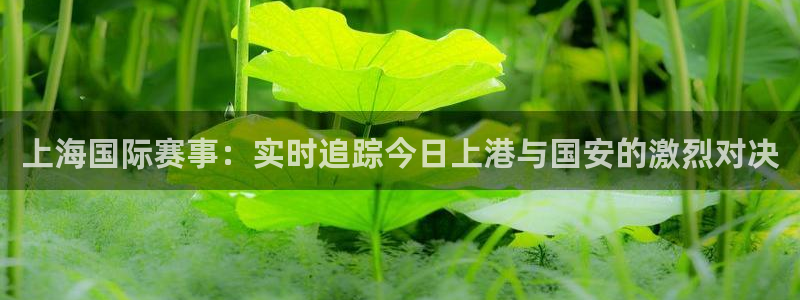 上海国际赛事：实时追踪今日上港与国安的激烈对决