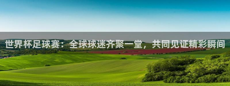 世界杯足球赛：全球球迷齐聚一堂，共同见证精彩瞬间