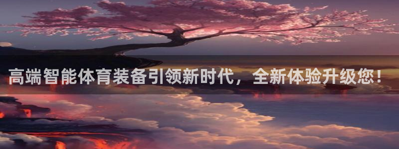 高端智能体育装备引领新时代，全新体验升级您！