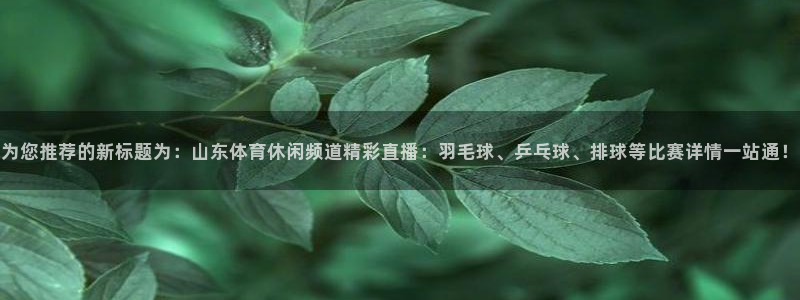 为您推荐的新标题为：山东体育休闲频道精彩直播：羽毛球、乒乓球、排球等比赛详情一站通！