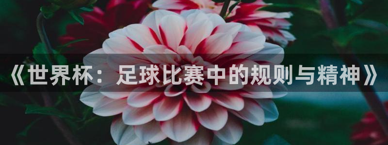 《世界杯：足球比赛中的规则与精神》
