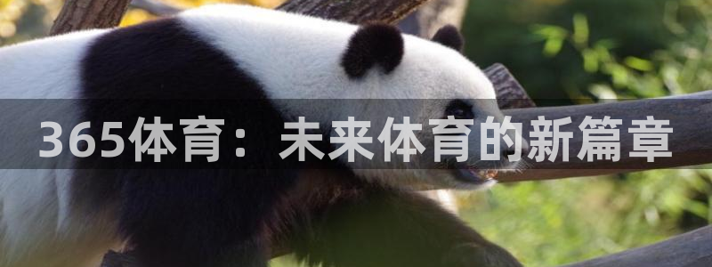 365体育：未来体育的新篇章