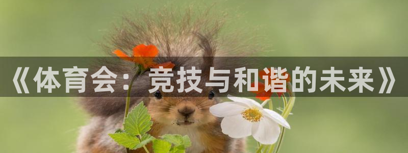 《体育会：竞技与和谐的未来》